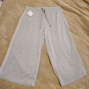 🖤 Z Supply Capris Sweats